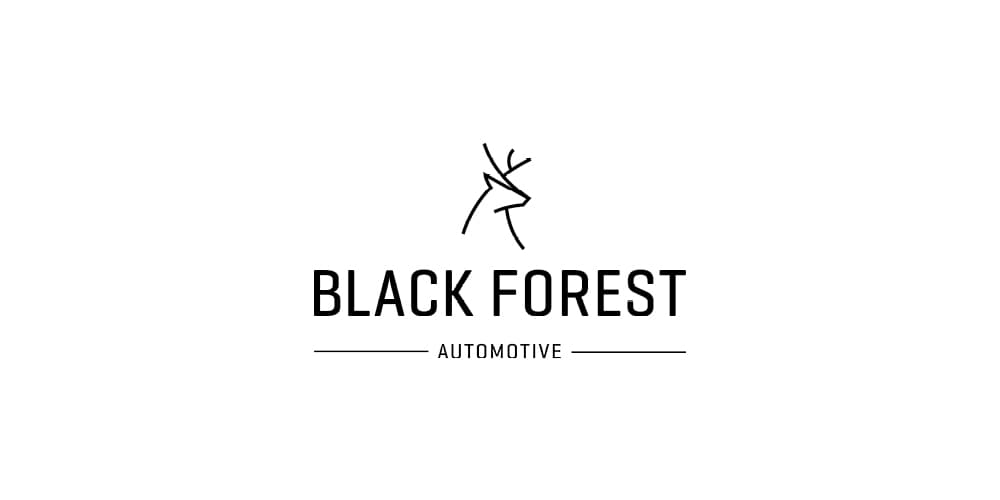 Black Forest Teaser.jpg