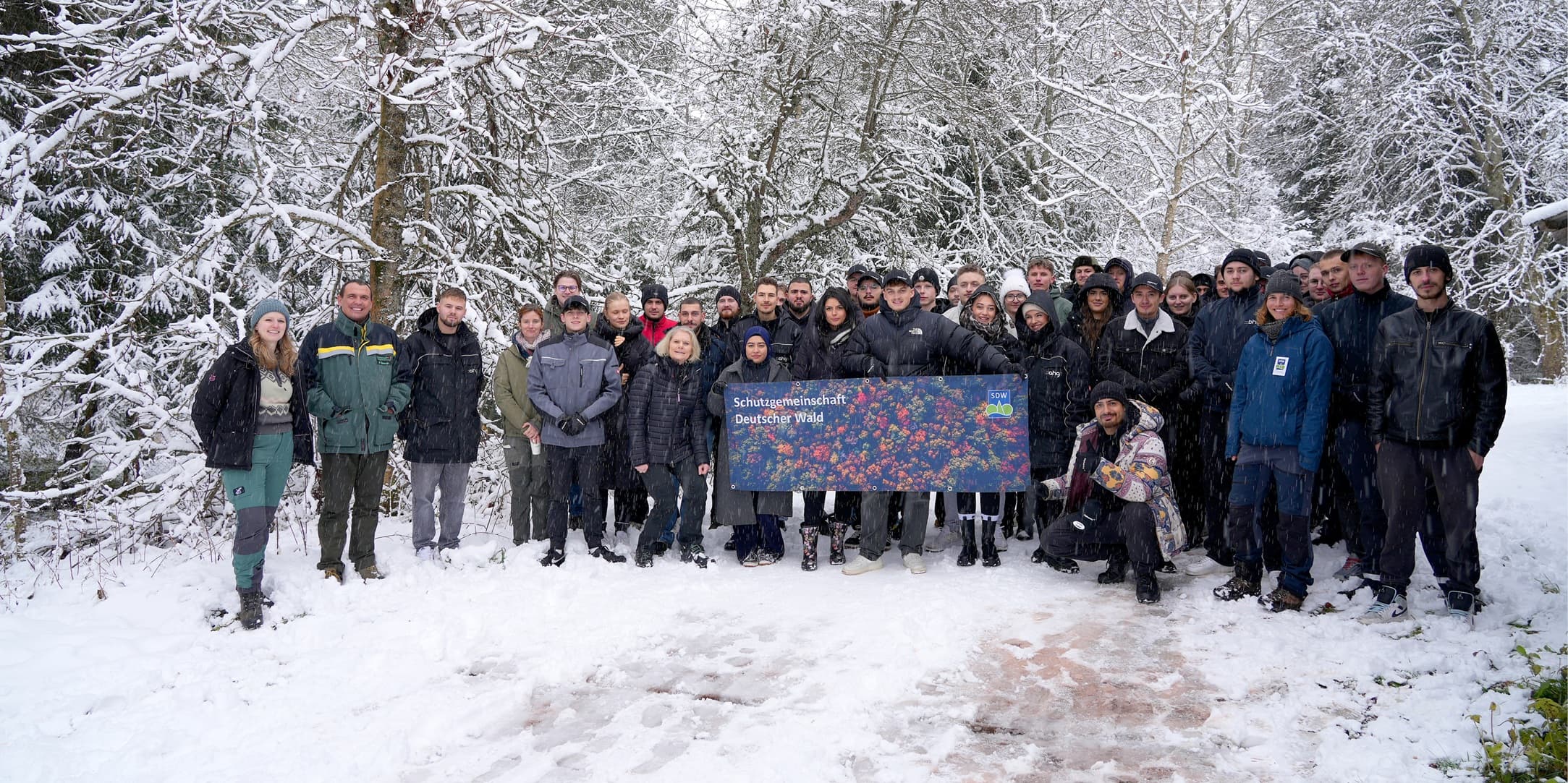 Header Baum_komprimiert.jpg